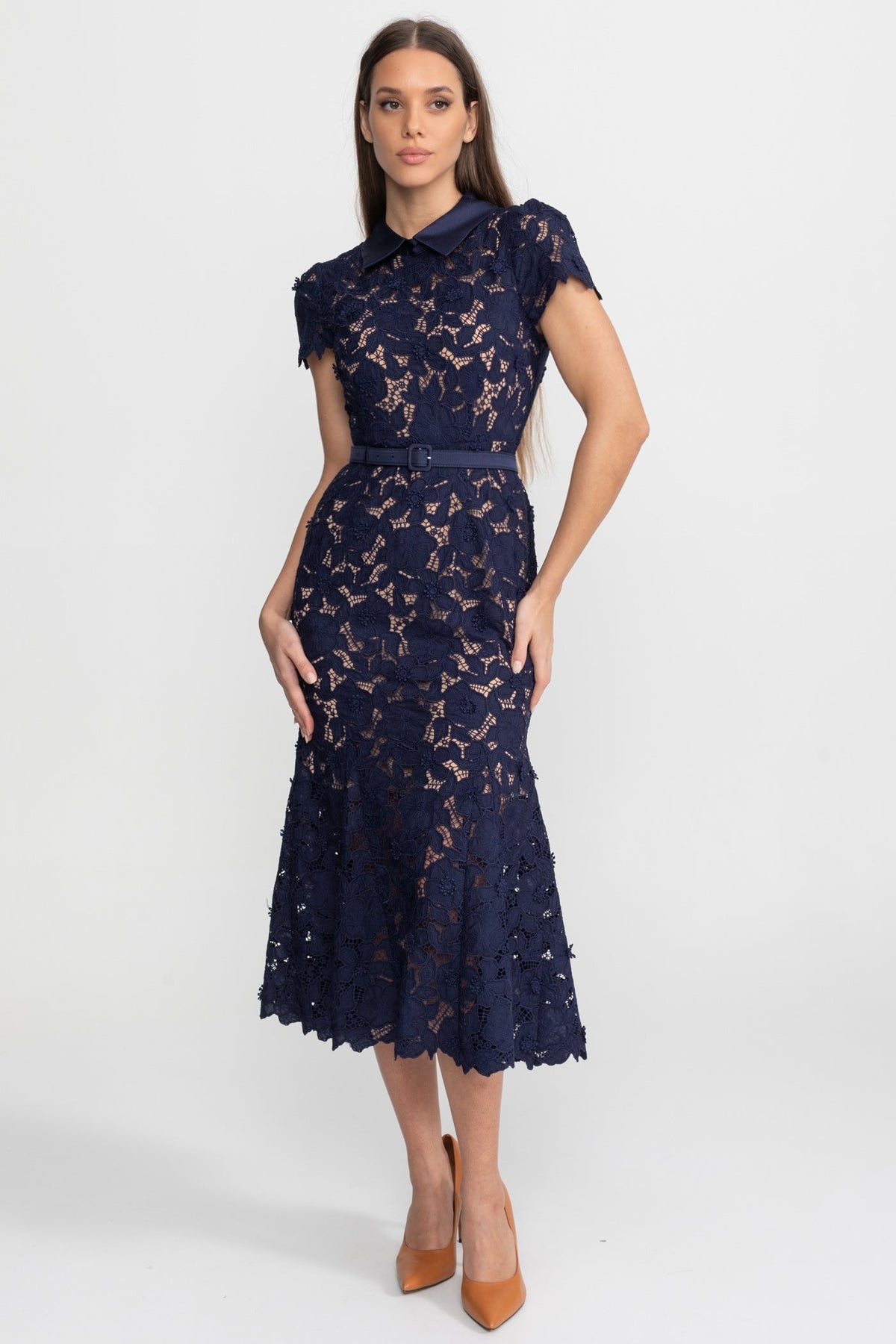 Lace Midi Dress with Belted Waist and Collared Neckline Navy