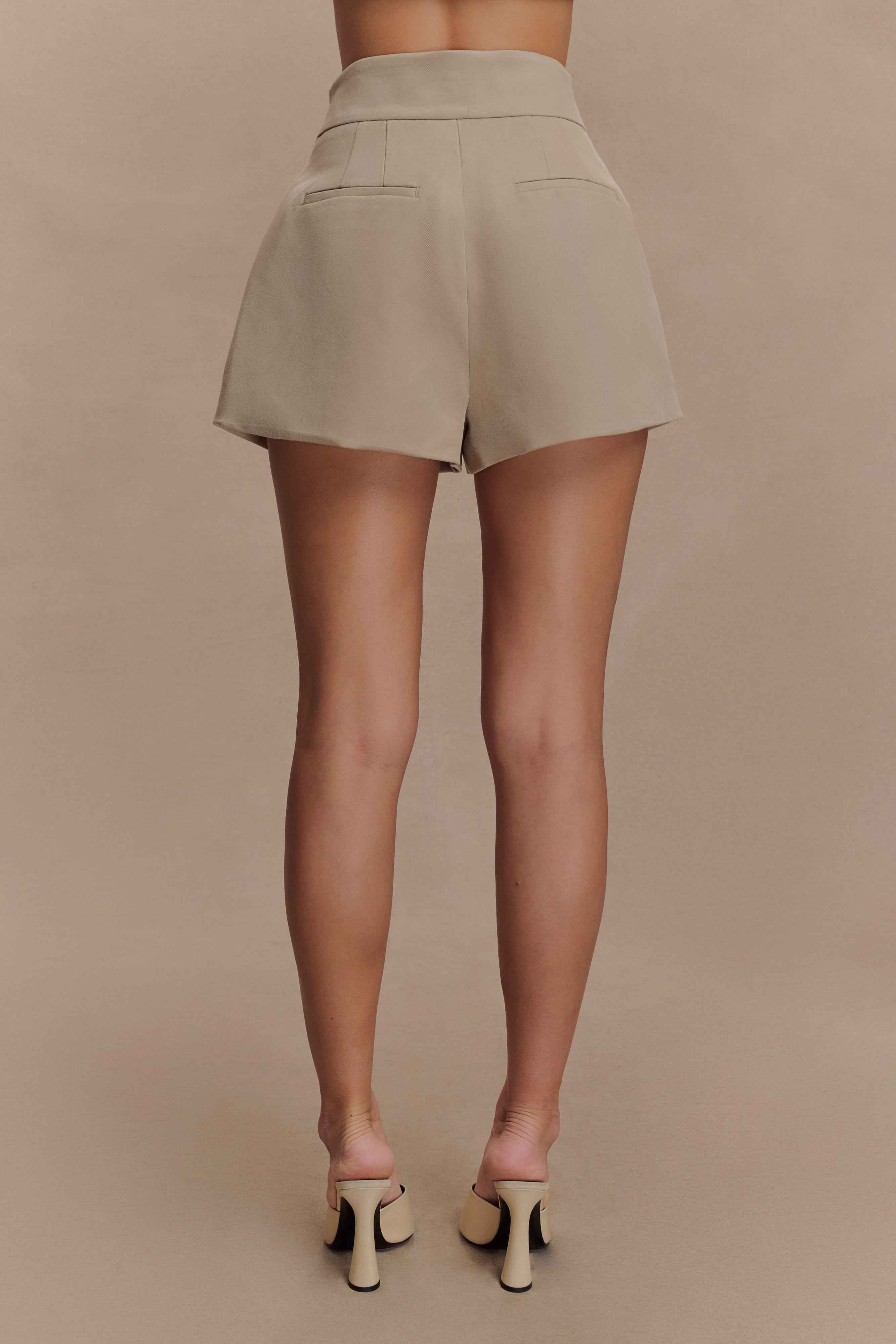 Alden Pebble High Waisted Shorts