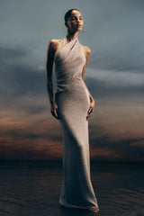Elma Silver Plum Maxi Dress