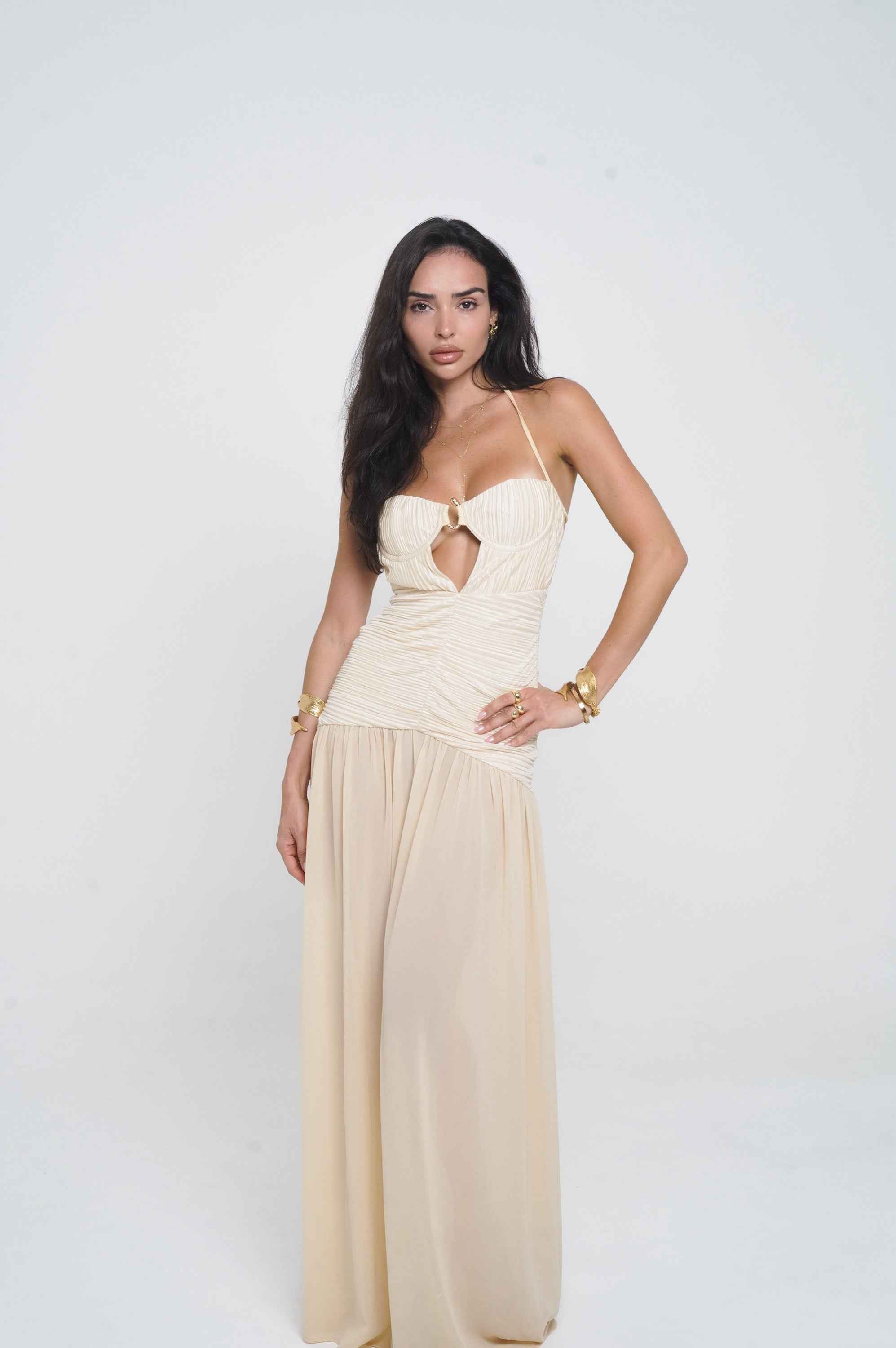 Celeste Maxi Dress - Gold Pleated Sheer Skirt