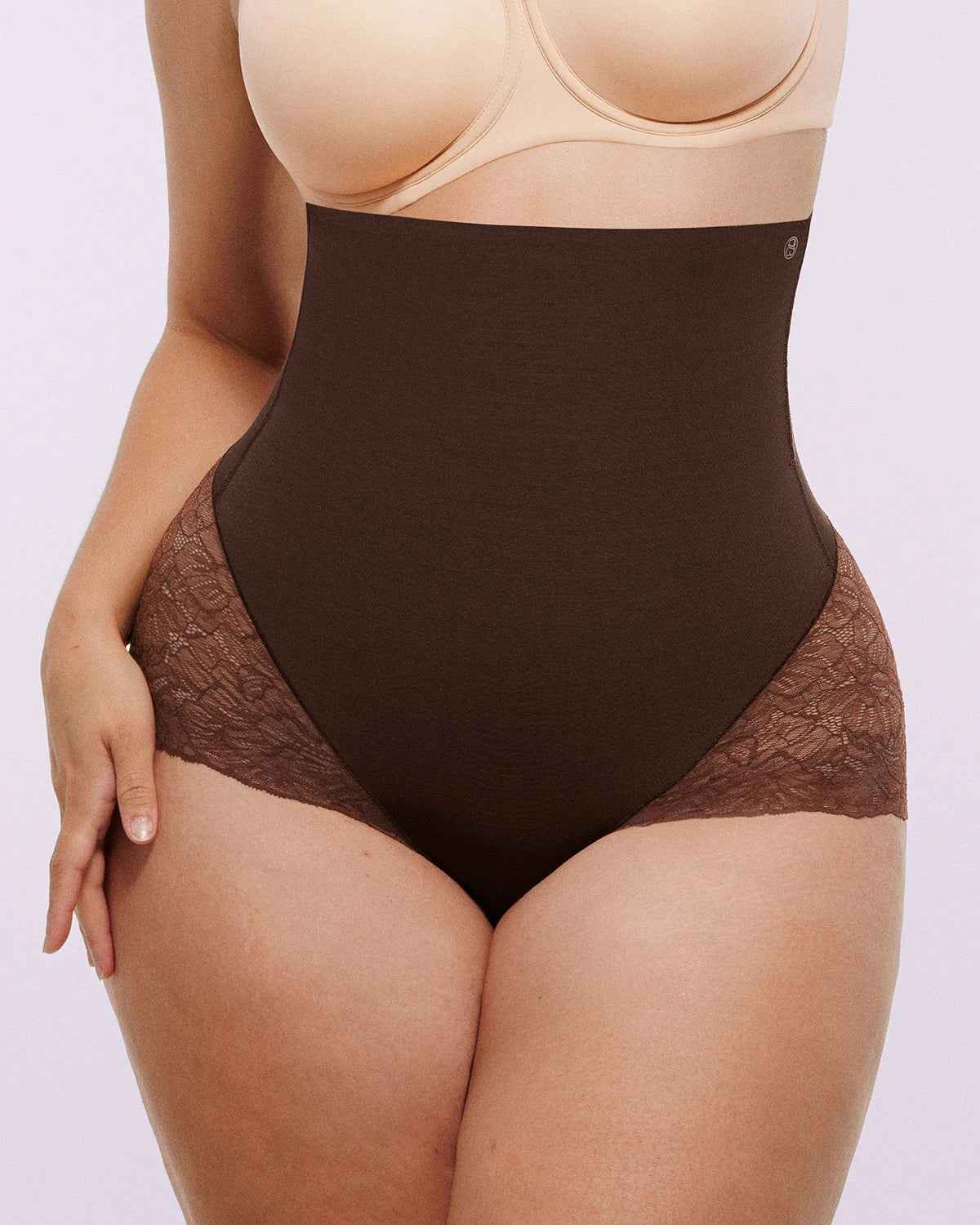 Bare Essentialsâ„?High-Waisted Brief - Sheer Lace Black