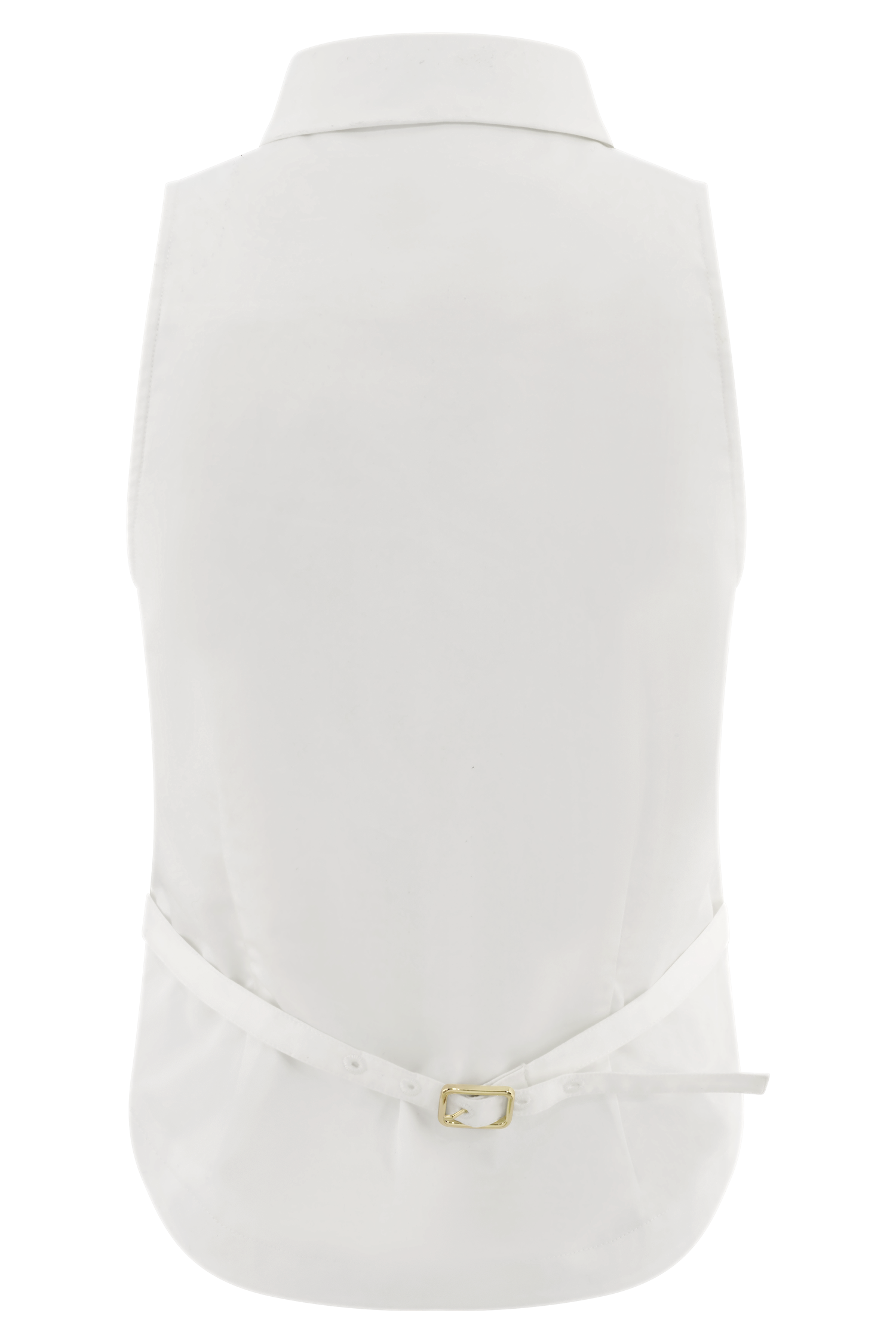 Selene White Sleeveless Halter Top