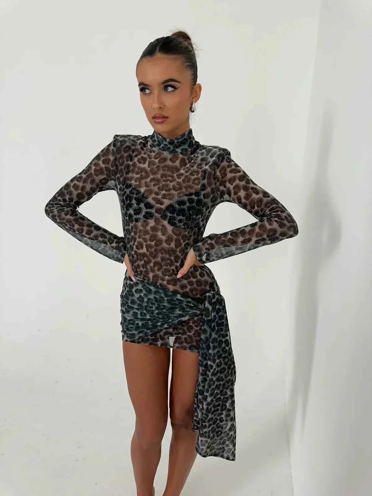 Women's Mesh Mini Party Dress with Long Sleeves