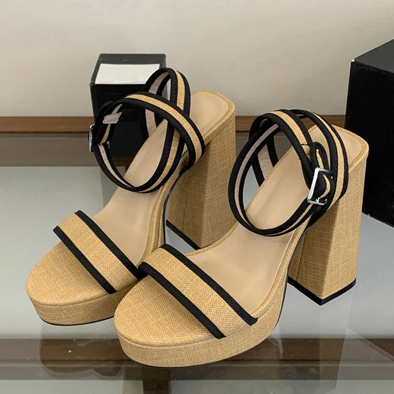 Vacation Style Chunky Platform Sandals