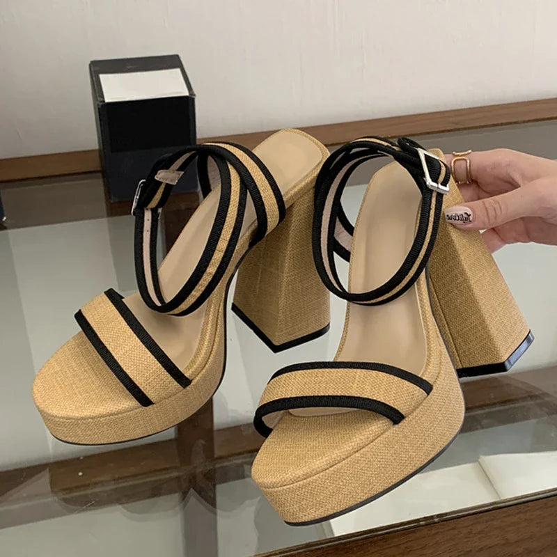 Vacation Style Chunky Platform Sandals