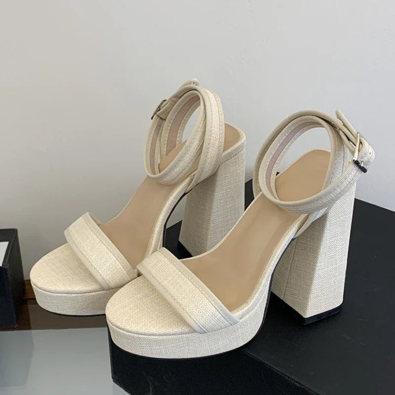 Vacation Style Chunky Platform Sandals