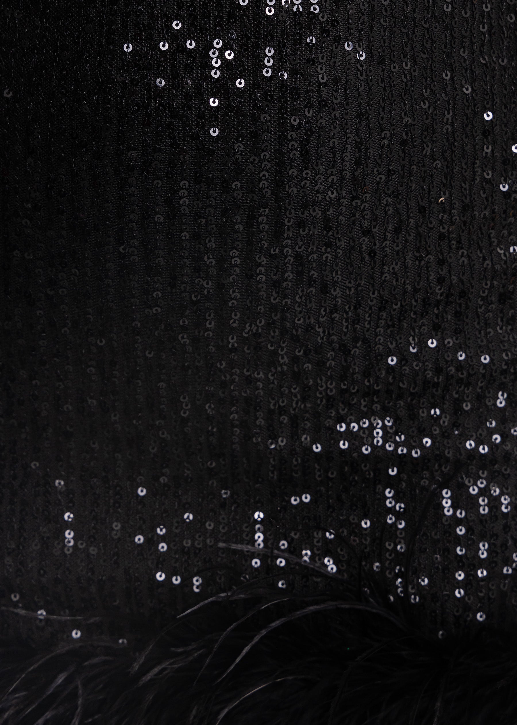 Untamed Aura Sequin Feather Mini Dress - Black