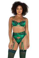 Embroidered Lace and Satin Bra Set