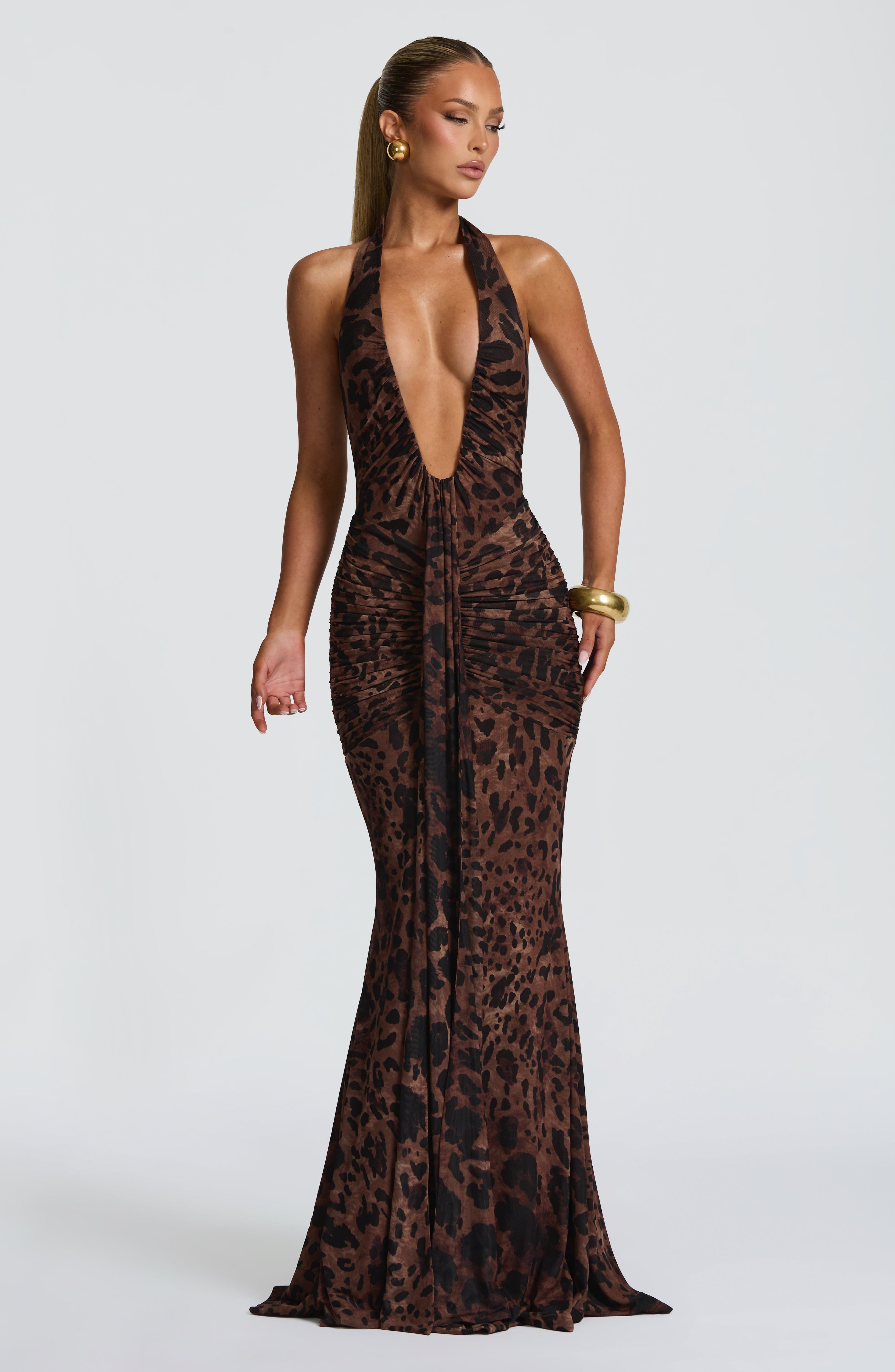 Rosetta Leopard Print Maxi Dress